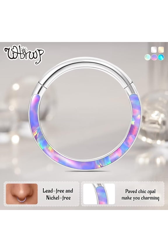 GHRTGR-316L Stainless-Steel Piercing-Ring Hinged Nose-Rings-Hoop with Zircon/Opal 14G 16G 18G 20g Body Pierecing Ring Segment Clicker Lip Rings Cartilage Rook Earrings Diameter 8mm 10mm