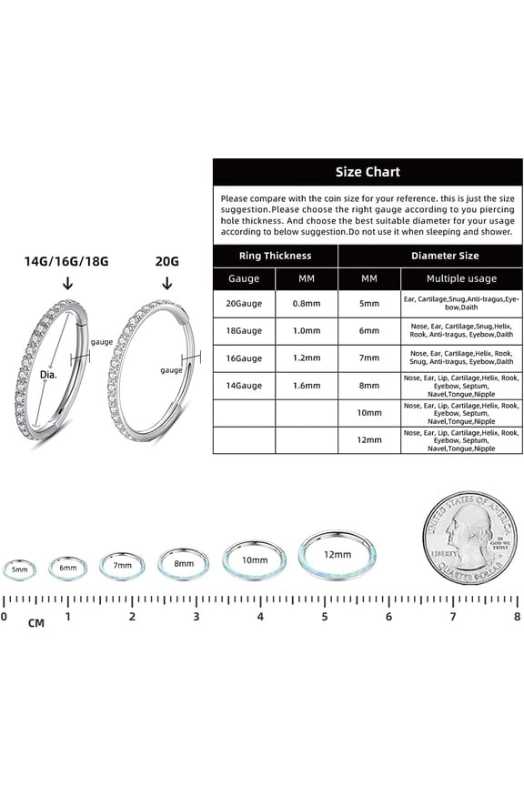 GHRTGR-316L Stainless-Steel Piercing-Ring Hinged Nose-Rings-Hoop with Zircon/Opal 14G 16G 18G 20g Body Pierecing Ring Segment Clicker Lip Rings Cartilage Rook Earrings Diameter 8mm 10mm