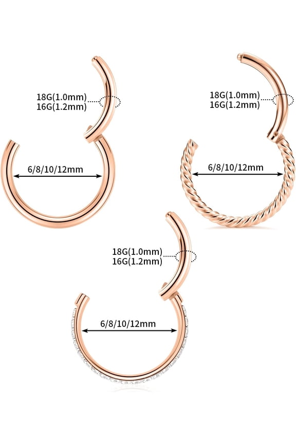 GHRTGR-Conch Piercing Jewelry Septum Jewelry Nose Ring Hoop 20G 18G 16G 14G 12G 10G 316L Surgical Steel Hinged Segment Ring Hoop Helix Daith Rook Tragus Cartilage Piercing Jewelry