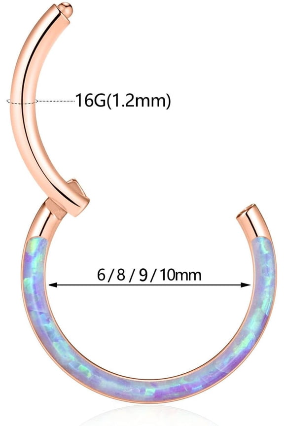 GHRTGR-Hinged Segment Ring Hoop Septum Clicker CZ 20G 18G 16G 14G 12G 6mm/7mm/8mm/9mm/10mm/12mm Surgical Steel Helix Daith Rook Conch Tragus Cartilage Earrings