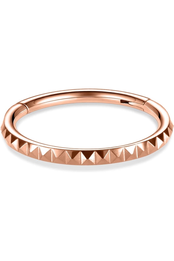 GHRTGR-Hinged Segment Ring Hoop Septum Clicker CZ 20G 18G 16G 14G 8G 6G 5mm/6mm/7mm/8mm/9mm/10mm/12mm/14mm Surgical Steel Helix Daith Rook Conch Tragus Cartilage Earrings