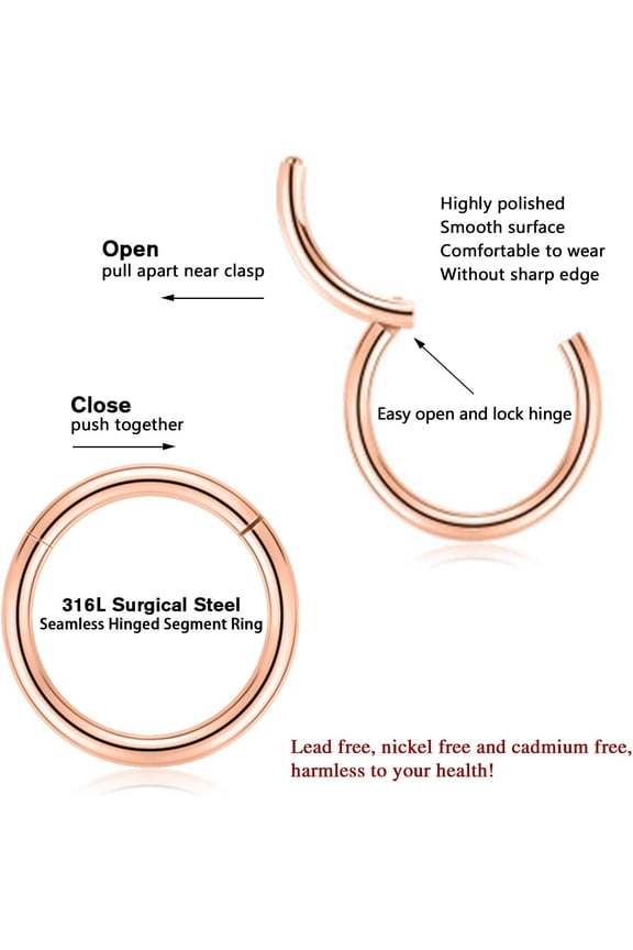 GHRTGR-Hinged Segment Ring Hoop Septum Clicker CZ 20G 18G 16G 14G 8G 6G 5mm/6mm/7mm/8mm/9mm/10mm/12mm/14mm Surgical Steel Helix Daith Rook Conch Tragus Cartilage Earrings
