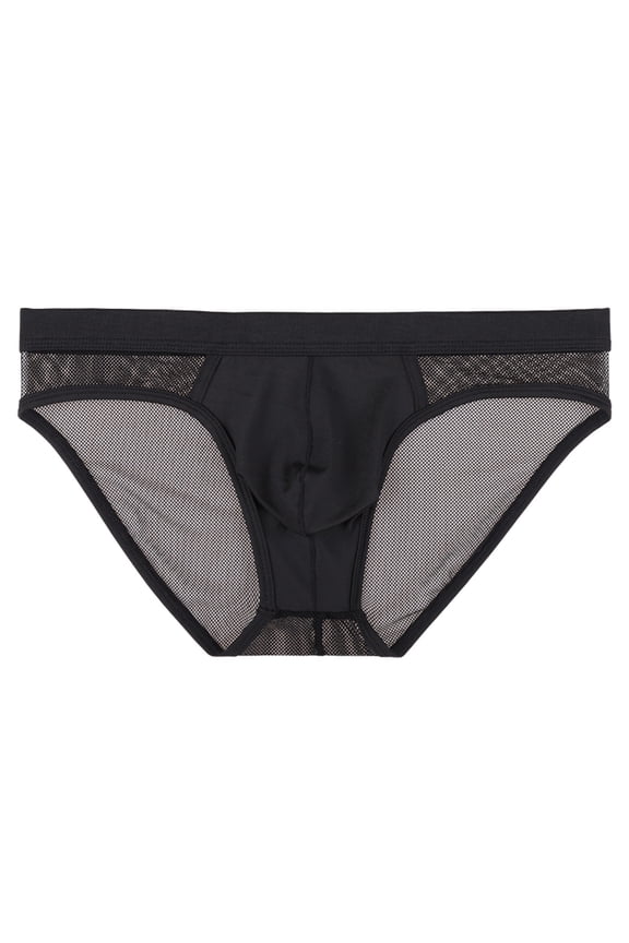 Mens Underwear Low Rise Briefs Ice Silk Ultra Soft Seamless String Bikini Solid Thongs Triangle Shorts Boxers Underpants XL