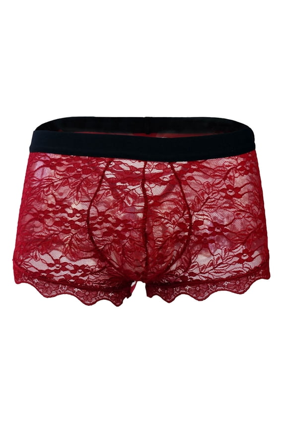 Mens Underwear Mesh Lace Boyshort Transparent Low Rise Short Leg Boxers for Men Valentines Day Briefs Underpants XL