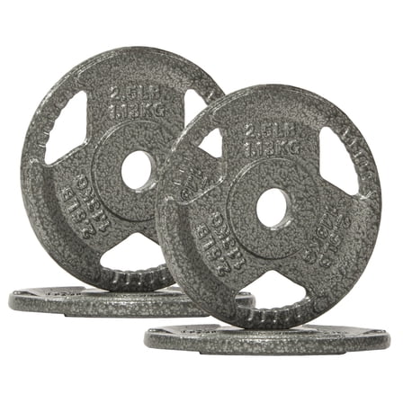 GIANNA 1-Inch Standard Cast Iron Weight Plate, For Strength Training Weightlifting, 2.5LBS, 4-Pack