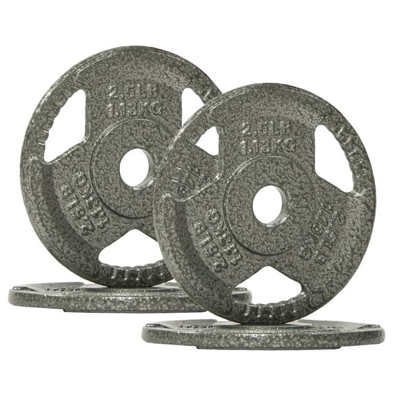 GIANNA 1-Inch Standard Cast Iron Weight Plate, For Strength Training Weightlifting, 2.5LBS, 4-Pack