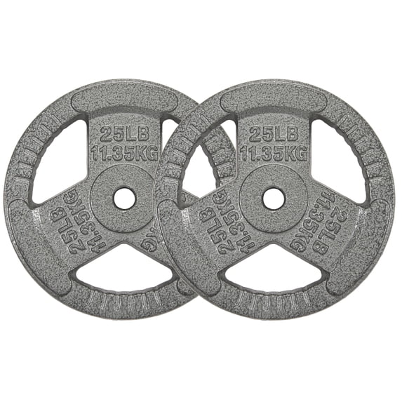 GIANNA 1-Inch Standard Cast Iron Weight Plate, For Strength Training ...
