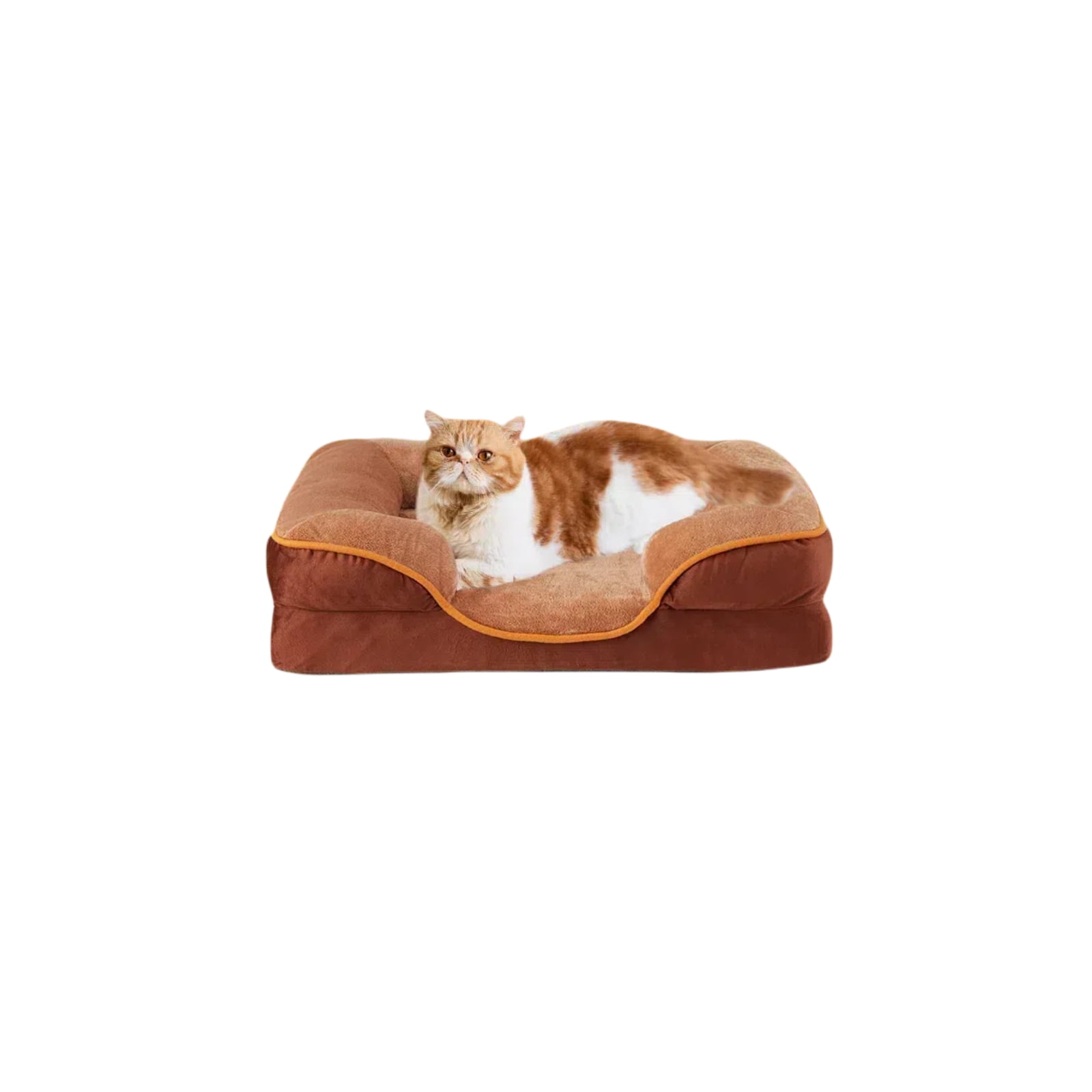 GIANNA 24" L x 18" W x 6" Th Dog Bed for Small Size Dogs, Non-Slip Base Pet Sofa with Washable Removable Cover, Brown