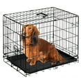 thumbnail image 1 of JOINSUN Dog Crate, 24 Inch Medium Folding Metal Wire Pet Single Door Dog Cage with Divider Panel and Plastic Leak-Proof Pan Tray, Outdoor, 1 of 5