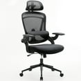 thumbnail image 1 of JIOABL Ergonomic Mesh Office Chair, High Back Desk Chair with Adjustable Lumbar Support, Headrest & Armrests, Swivel Task Chair, Black, 1 of 6