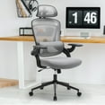 thumbnail image 1 of GIANNA Ergonomic Mesh Office Chair, High Back Desk Chair with Adjustable Lumbar Support, Headrest & Armrests, Swivel Task Chair, Grey, 1 of 7