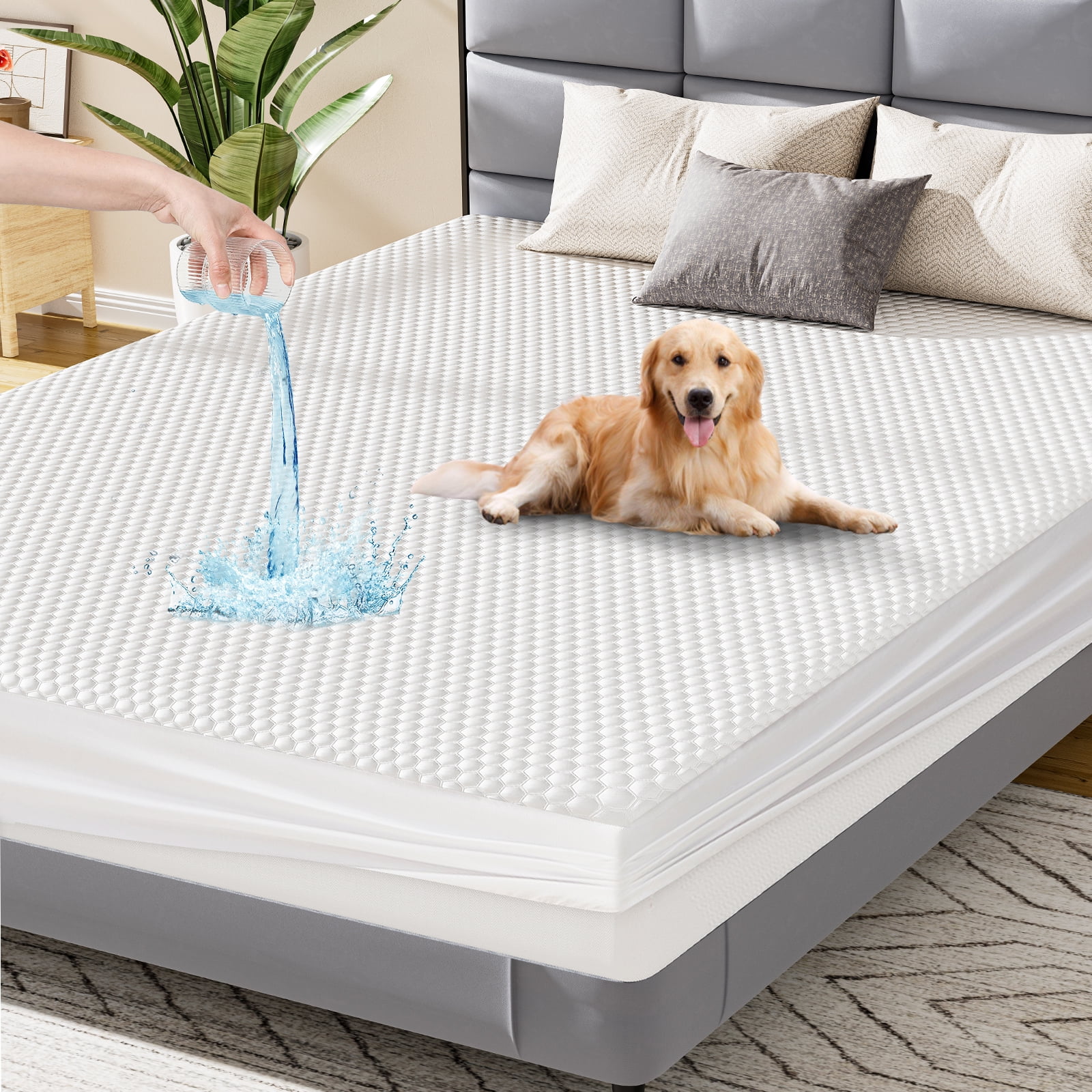 GIANNA Waterproof Mattress Protector (Pillowcase And Pillow Not Included) , Comfortable Solid Color Mattress Cover, White, Queen Size