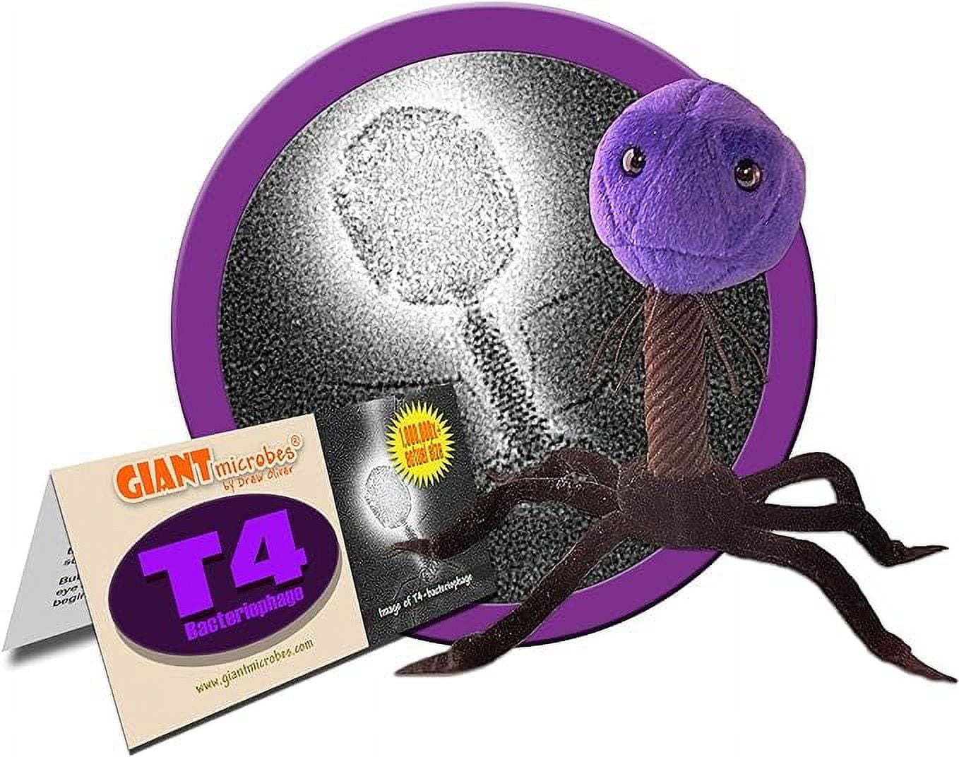 GIANTmicrobes T4 Plush Learn All About Virology, Educational Gift for Scientists, Science