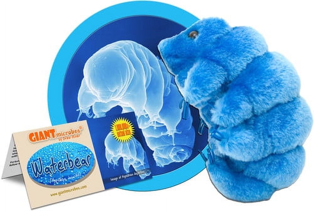 GIANTmicrobes Waterbear Plush - Learn About Microscopic Life with This Cuddly Plush, Unique Gift for Family, Friends, Tardigrade Fans, Scientists, Educators and Students