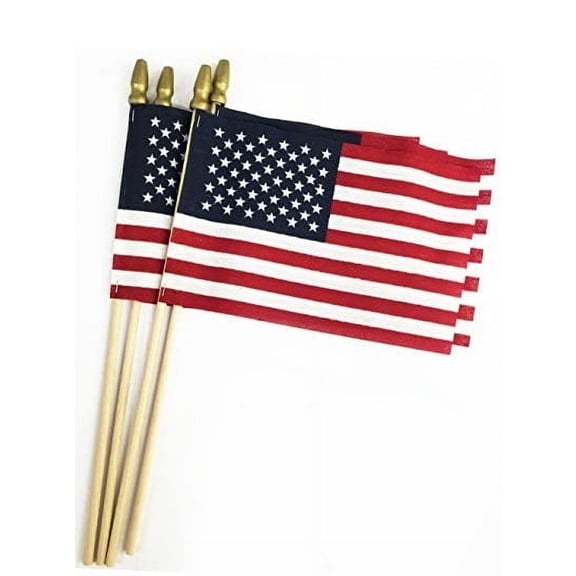 GIFTEXPRESS 8 x 12 Inch Spearhead Handheld American Stick Flags/Grave Marker American Flags USA Stick Flag (12pcs)