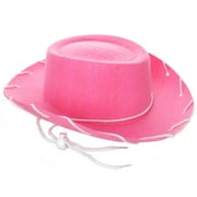 GIFTEXPRESS Halloween Pink Felt Cowboy Hat