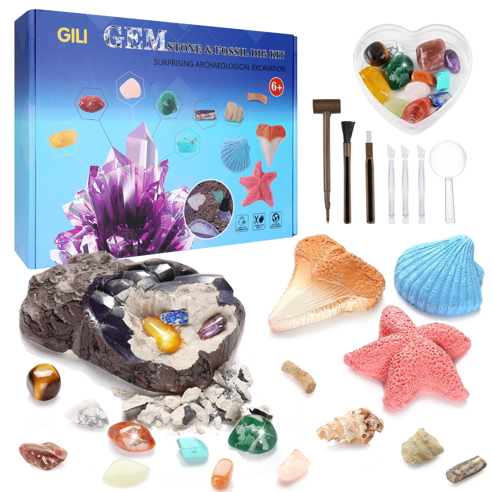 https://i5.walmartimages.com/seo/GILI-Fossil-Gem-Digging-Kit-Kids-12-Natural-Gemstones-4-Fossils-Amethyst-Sea-Star-Shell-Awesome-Science-Kit-Archaeology-Gift-Boys-Girls-Age-5-6-7-8-9_4d43a3a7-5d54-4be1-9abe-0dde7316b4ee.3c280fcbf1819d249ef28c55a9b23837.jpeg
