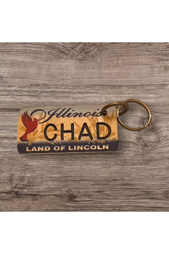 GINA Name Keychain License Plate Illinois Land of Lincoln Great Holiday Gift 2