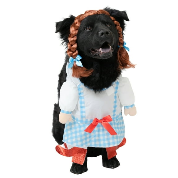 Vibrant Life Halloween Gingham Girl Costume for Dogs, Blue and White, Large