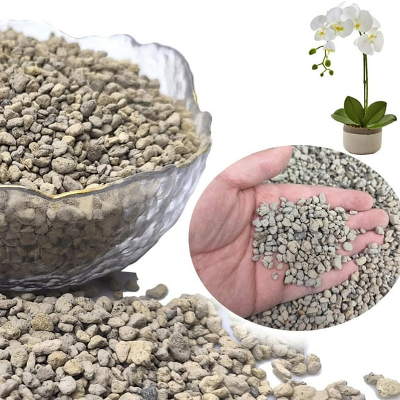 GIXUSIL 0.5 LB Plants Horticultural Pumice, Natural Organic Pumice Stones, Soil Amendment for Succulent Cactus Bonsai Tree Orchid Potting Mixed, Improves Soil Aeration and Drainage