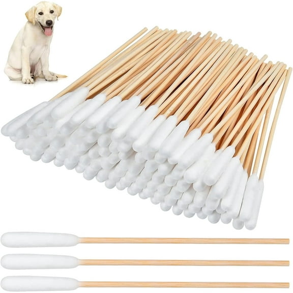 GIXUSIL 100 Pcs 6 Inch Large Cotton Swabs for Dog Pet Cotton Ear Buds for Dog Ear Care with Wooden Handle for Dog Cotton Buds Cotton Swabs Dog Ear Cleaning Solution