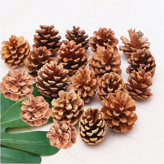GIXUSIL 12 Pcs Christmas Natural Pine Cones, Rustic Pinecones Bulk Ornaments with Rope for Home Accent Fall Thanksgiving Tree Party Craft Accessory Decorations