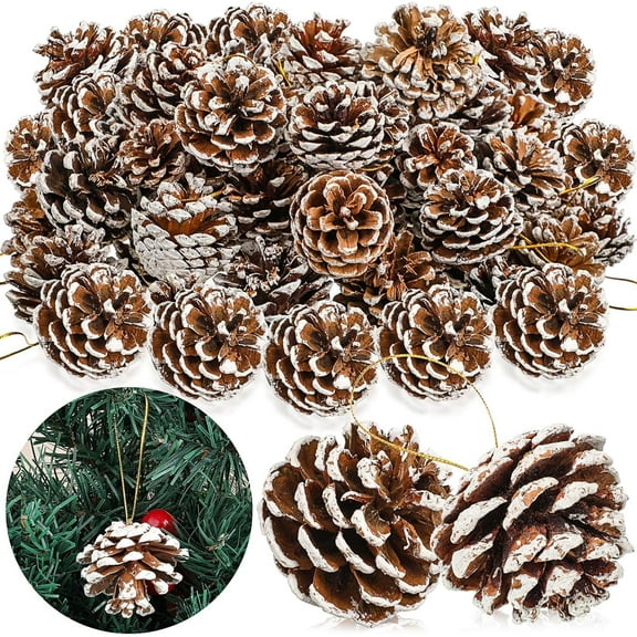 GIXUSIL 36 Pack Frosting Pine Cones, 2 in Pinecone Ornaments, Natural Brown Christmas Ornaments, Bulk Crafts Pine Cone with Silver String for Christmas Tree Party Accessory Decorations