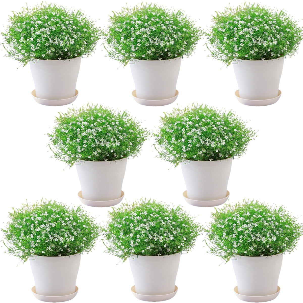 GIXUSIL 8-Pack 4.8 inch Plastic Plant Pots with Saucers, Thickened Nursery Pots with Drainage Holes for Indoor Outdoor Plants, Flowers, Succulents, Herbs, White