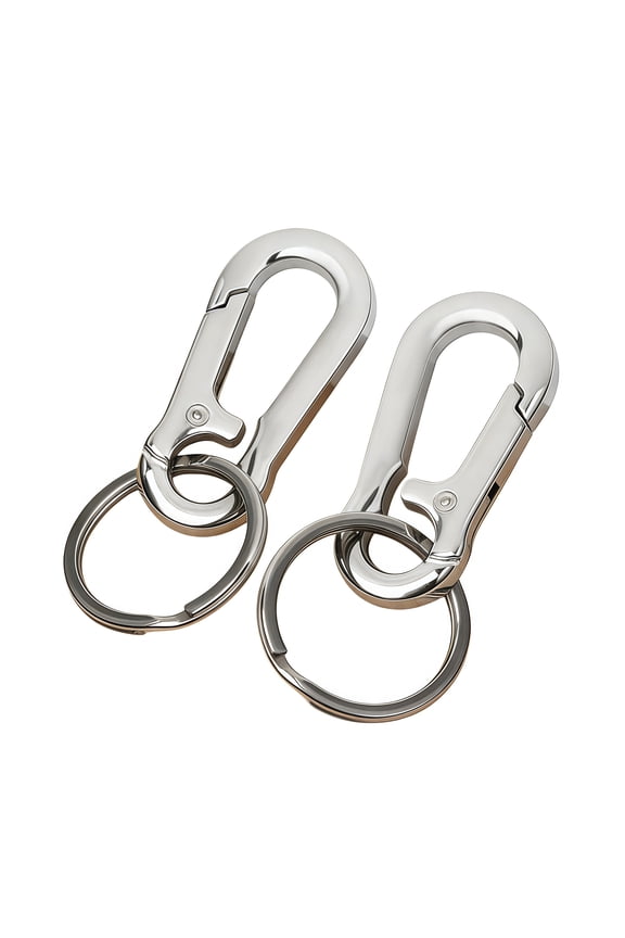 GIXUSIL Metal Carabiner Clip Keyring Keychain Chain Holder Organizer for Car Keys Finder(2Pcs Key Chain Clip Hook)Silver