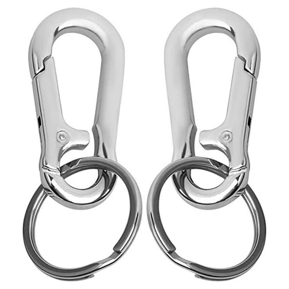GIXUSIL Metal Carabiner Clip Keyring Keychain Chain Holder Organizer for Car Keys Finder(2Pcs Key Chain Clip Hook)Silver
