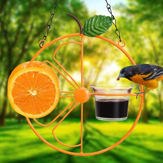 GIXUSIL Oriole Bird Feeder, Hanging Metal Bird Feeder,Detached Bowl