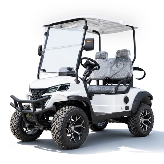 GIYI Electric Golf Cart, 2 Passenger, 20 MPH Top Speed, 44 Mile Range, 5KW Motor, 60V Battery, with Backup Camera, Rear Parking Sensors, IPS Display, Hitch Ball, LED Lights, 14" Wheels, White