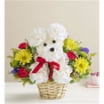 thumbnail image 1 of GIfts By Gail A-Dog-Able®In A Basket, 1 of 1