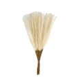 thumbnail image 1 of GJX 20Pcs Fauxpampas Grass,Realistic Grass Detailing Simulation Plant,Premium and Long-Lasting Fade-Resistant and Easy Care Green Plant Decoration,Beige,21.65In, 1 of 4