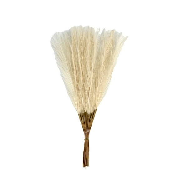 GJX 20Pcs Fauxpampas Grass,Realistic Grass Detailing Simulation Plant,Premium and Long-Lasting Fade-Resistant and Easy Care Green Plant Decoration,Beige,21.65In