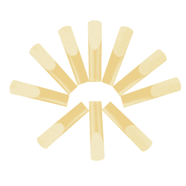 GJX Clarinet Reeds Good Quality Material Alto Saxophone Reeds Long-Lasting Use Individual Plastic Case Style
