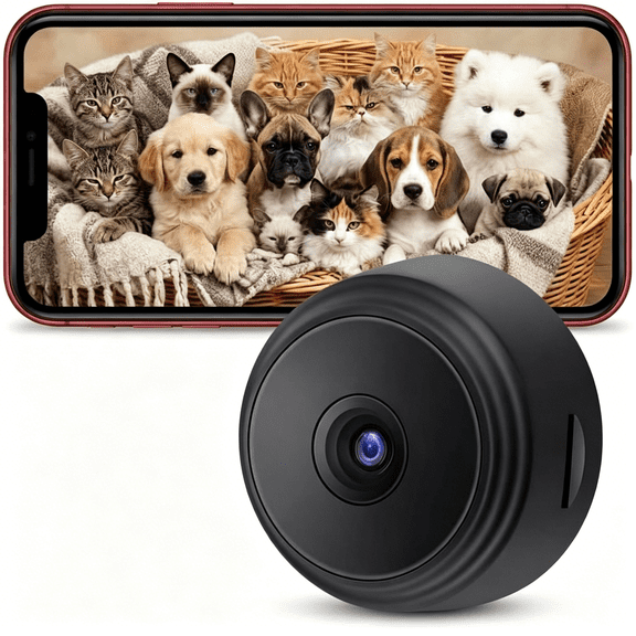 GJX Pet Camera tiny cameras hidden wireless spy camera hidden camera with audio/video