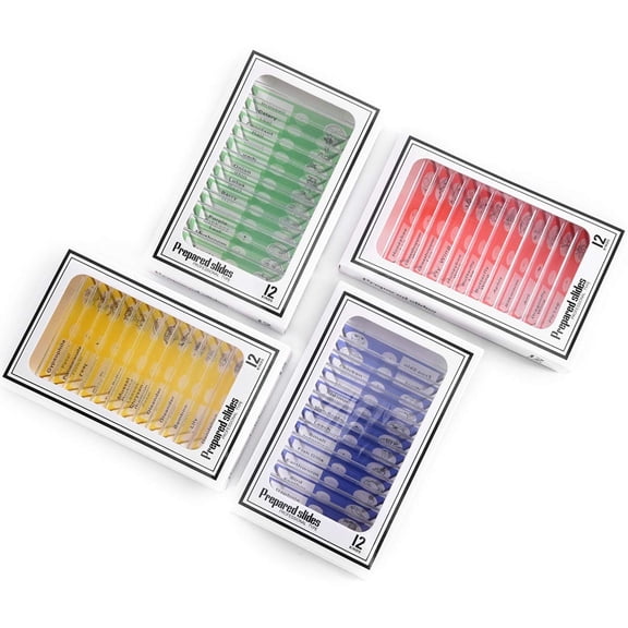 GJX Plastic Prepared Microscope Slides for Kids,48Pcs Animals Insects Plants Flowers Sample Microscope Slides with Specimens for Students Adult Biology Science Programs