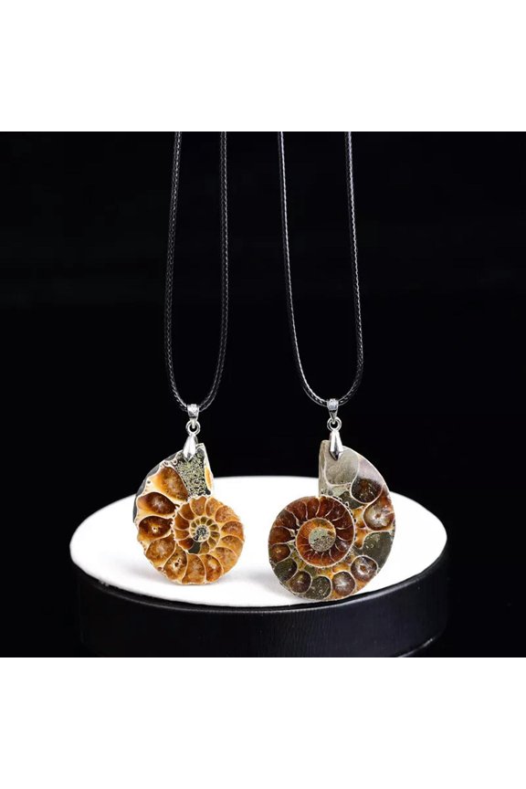 10Pcs Natural Quartz Conch Shell Crystal Pendant Unisex Necklace Decor