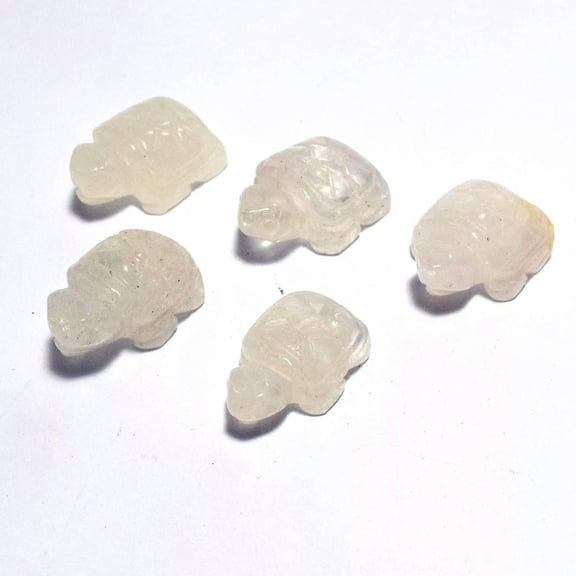 GKNET 10pcs 1" Natural White Crystal Stone Tortoise Carved Skull Reiki Healing Random