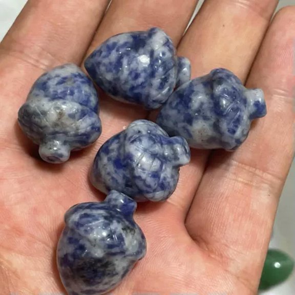 GKNET 20PCS Natural Sodalite Stone Hand Carved Pine Nuts Crystal Healing Random