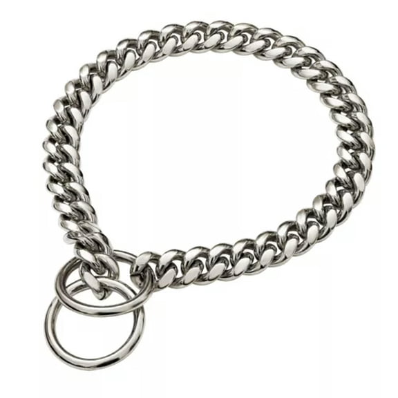 GKNET 4 Colors 10mm Pet P Choke Chain Training Dog Collar Stainless Steel Dog Supplies-14inch-Silver color