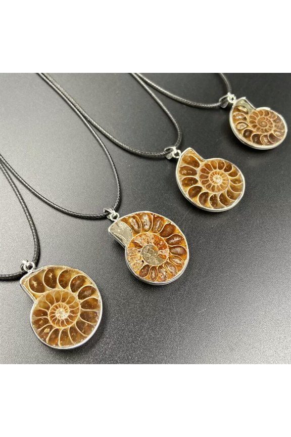 4pcs Natural Madagascar Sea Conch Shell Pendant Stone Necklace PU Chain
