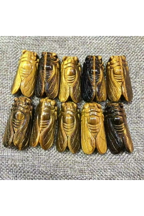 5Pcs Natural Rock Tiger Eye Stone Carved Cicada Quartz Crystal Pendant Healing-default
