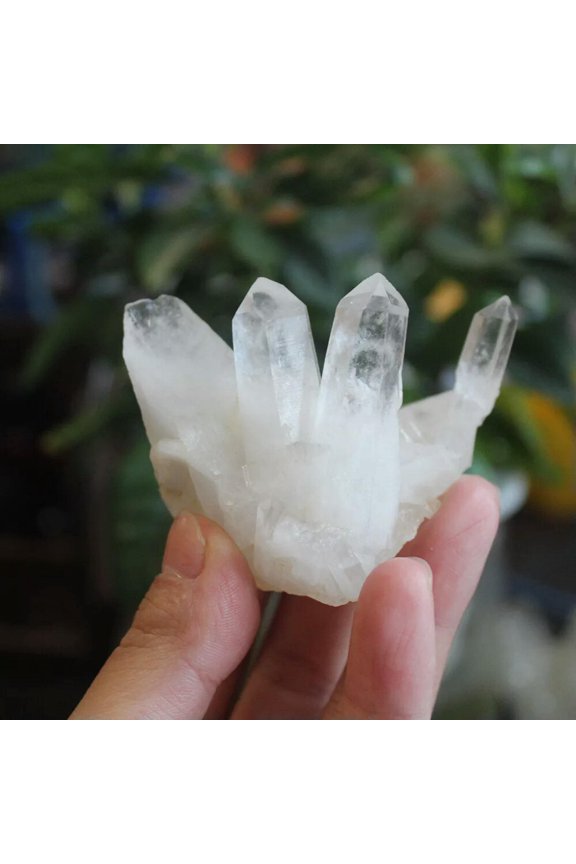80g Natural White Crystal Quartz Cluster Specimen Reiki Healing Gemstone