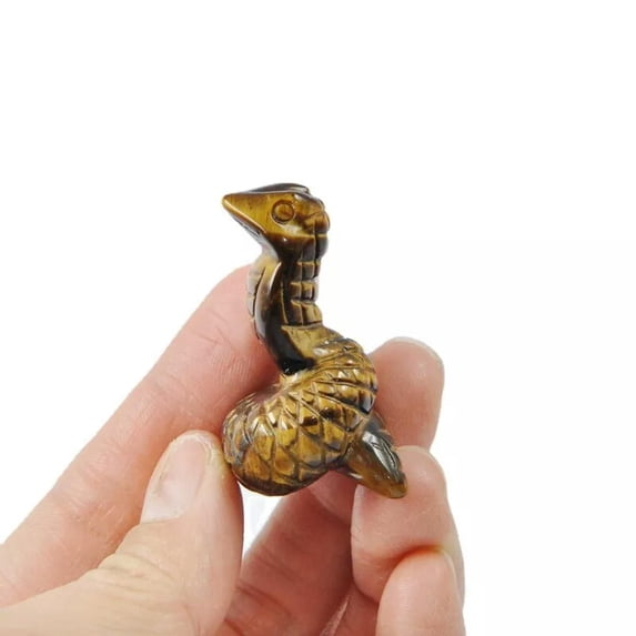 GKNET Natural Tiger's Eye Quartz Crystal Skull Carved Snake Healing Serpent Ornament