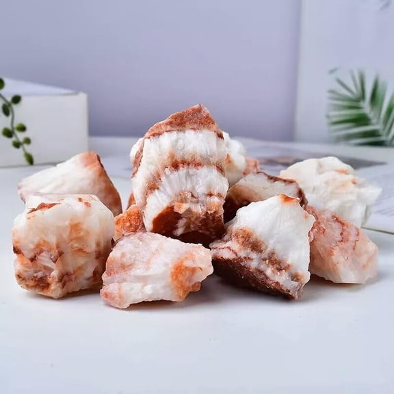 GKNET Raw Rough Natural Pork stone Rocks Chunks Crystal Chakra Mineral Specimen 1PC