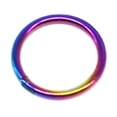 thumbnail image 1 of GKNET Unisex Titanium Hinged Segment Nose Ring Ear Cartilage Tragus Helix Lip Piercing-Rainbow-10 mm-16g (1.2 mm), 1 of 6
