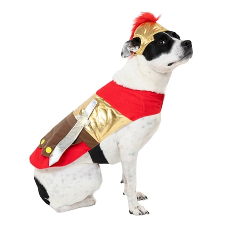 Vibrant Life Halloween Gladiator Costume for Dogs, Multicolor, Medium