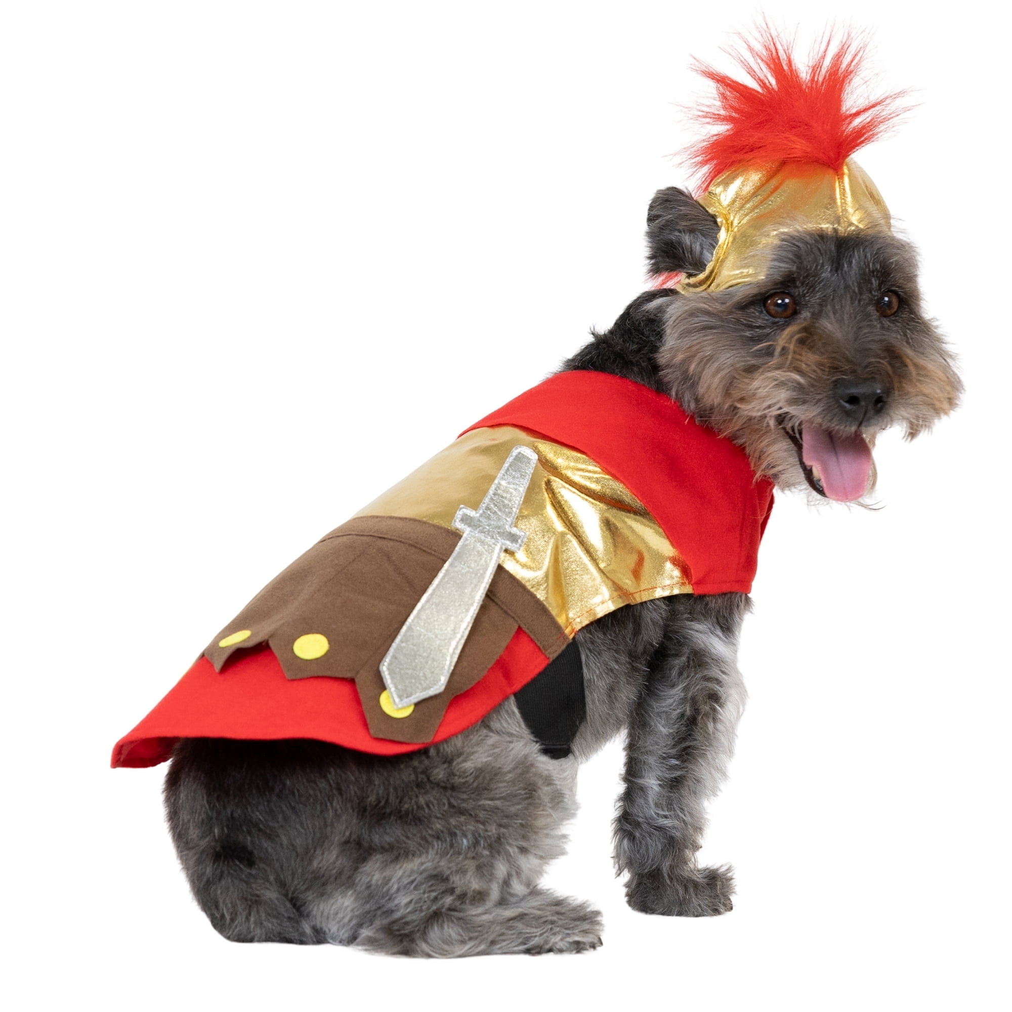 Vibrant Life Halloween Gladiator Costume for Dogs and Cats, Multicolor, Small